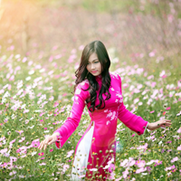 Đề thi học kì 1 môn Ngữ văn lớp 8 Phòng GD&ĐT Bình Giang, Hải Dương năm học 2015 - 2016