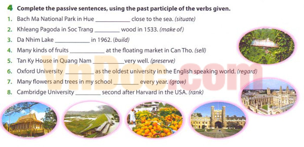 Bài tập Tiếng Anh lớp 7 Thí điểm