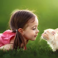 Bộ đề thi Violympic Toán lớp 1 năm học 2016 - 2017