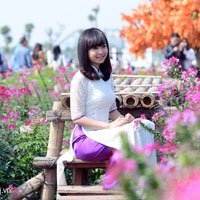 Đề thi học kì 1 môn Toán lớp 10 trường THPT Nguyễn Huệ, Quảng Nam năm học 2014 - 2015