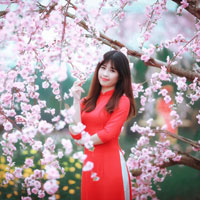 Đề thi học sinh giỏi môn Toán lớp 12 trường THPT Nguyễn Huệ, Phú Yên năm học 2016 - 2017