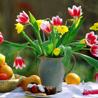 Đề thi thử THPT Quốc gia năm 2017 môn Tiếng Anh trường THPT Ngô Gia Tự, Vĩnh Phúc (Lần 1)