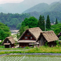 Bài tập tiếng Anh lớp 10 Unit 8: The story of my village CÓ ĐÁP ÁN