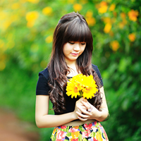 Đề thi học kì 1 môn Địa lý lớp 8 Phòng GD&ĐT Tứ Kỳ, Hải Dương năm học 2015 - 2016