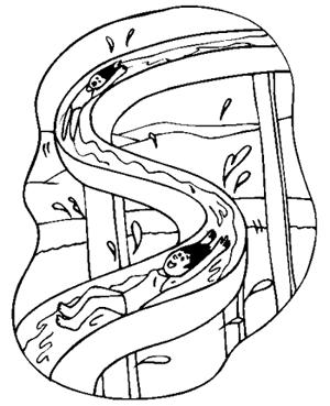Đề thi Olympic Tiếng Anh lớp 6