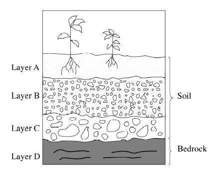 Đề thi Olympic Tiếng Anh lớp 7