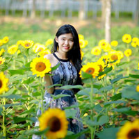 Đề thi thử học kì 1 môn Toán lớp 12 trường THPT Hàm Thuận Bắc, Bình Thuận năm học 2016 - 2017