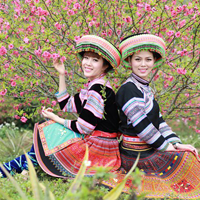 Bài tập trắc nghiệm Sinh học lớp 9: Con người, dân số và môi trường