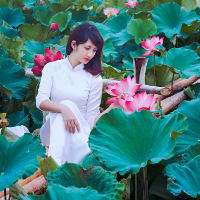 Đề cương ôn tập học kì 1 môn Tiếng anh lớp 11 trường THPT Thuận Thành 1, Bắc Ninh năm học 2016 - 2017