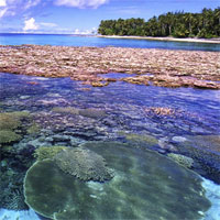 Trắc nghiệm Sinh học 10 - Chuyên đề: Các cấp tổ chức của thế giới sống