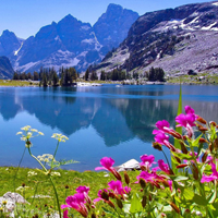 Đề thi học kì 1 môn Toán lớp 8 Phòng GD&ĐT Tây Hòa, Phú Yên năm học 2015 - 2016