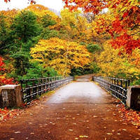 Đề cương ôn tập học kỳ 1 môn Địa lý lớp 7 năm học 2016 - 2017