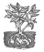 Đề thi Olympic Tiếng Anh lớp 4