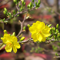 Bài tập tự luận Tiếng Anh lớp 12 Unit 7 Economic Reforms