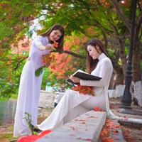 Đề thi học kì 1 môn Toán lớp 12 trường THPT Việt Đức, Hà Nội năm học 2016 - 2017