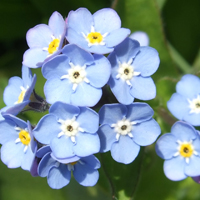 Đề thi học kì 1 lớp 2 môn Toán, Tiếng Việt trường tiểu học Lê Quý Đôn năm 2015 - 2016