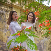 Đề thi học kì 1 môn Ngữ văn lớp 12 - Sở GD&ĐT TP. Hồ Chí Minh năm học 2016 - 2017