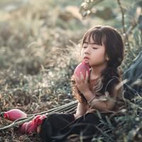 Đề thi học kì 1 môn Khoa học lớp 5 trường tiểu học Phan Đăng Lưu, Gia Lai năm 2016 - 2017