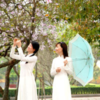 Đề thi học kì 1 môn Giáo dục công dân lớp 10 trường THPT Nguyễn Du, TP Hồ Chí Minh năm học 2016 - 2017