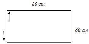 Đề thi học kì 1 môn Giáo dục công dân lớp 10 trường THPT Nguyễn Du, TP Hồ Chí Minh năm học 2016 - 2017