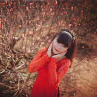 Đề thi học kì 1 môn Vật lý lớp 7 trường THCS Lý Tự Trọng, Đăk Lăk năm học 2016 - 2017