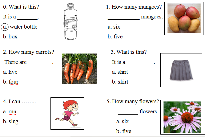 Đề kiểm tra học kỳ 1 môn tiếng Anh lớp 2 có đáp án