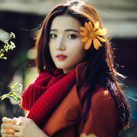 Đề kiểm tra 1 tiết HK1 môn Tiếng Anh lớp 10 trường THPT Nguyễn Khuyến, Hà Nội năm học 2016 - 2017 (Lần 2)