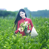 Đề thi học kì 1 môn Ngữ văn lớp 11 Sở GD&ĐT Vĩnh Phúc năm học 2016 - 2017