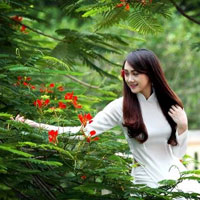 Đề thi học kì 1 môn Vật lý lớp 10 trường THPT Đa Phúc, Hà Nội năm học 2016 - 2017