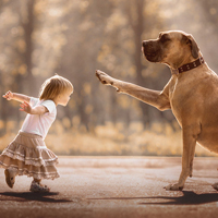 Đề thi học kì 1 môn Khoa học lớp 5 trường tiểu học A Mỹ Hội Đông, An Giang năm 2016 - 2017