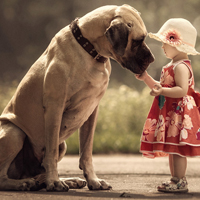 Đề thi học kì 1 môn Lịch sử - Địa lý lớp 5 trường tiểu học A Mỹ Hội Đông, An Giang năm 2016 - 2017