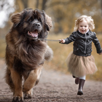 Đề thi học kì 1 môn Toán lớp 4 trường tiểu học Kênh Giang, Hải Phòng năm 2016 - 2017