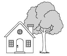 Đề thi Olympic Tiếng Anh lớp 3