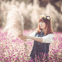 Đề thi học kì 1 môn Toán lớp 8 trường THCS Diễn Lâm, Nghệ An năm học 2016 - 2017