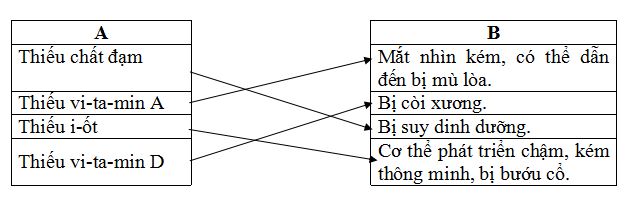 Đề thi học kì 1 môn Khoa học lớp 4