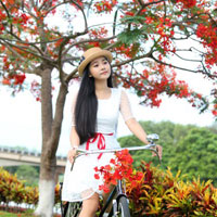 Đề thi thử học sinh giỏi cấp tỉnh môn Ngữ văn lớp 12 trường THPT Lý Thái Tổ, Bắc Ninh năm học 2016 - 2017 (Lần 1)