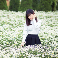 Đề thi học kì 1 môn Địa lý lớp 9 Phòng GD&ĐT Vĩnh Tường, Vĩnh Phúc năm học 2016 - 2017