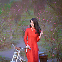 Đề thi học kì 1 môn Lịch sử lớp 9 Phòng GD&ĐT Vĩnh Tường, Vĩnh Phúc năm học 2016 - 2017