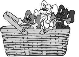 Đề thi Olympic Tiếng Anh lớp 5