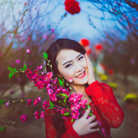 Đề thi học kì 1 môn Ngữ văn lớp 9 Phòng GD&ĐT Ba Đình, Hà Nội năm học 2016 - 2017