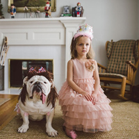 Đề thi học kì 1 lớp 5 môn Toán trường tiểu học Đoàn Kết, Bình Phước năm 2016 - 2017