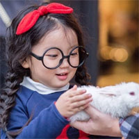 Đề thi Violympic Toán Tiếng Anh lớp 4 vòng 1 năm 2016 - 2017