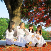 Đề thi học kì 1 môn Toán lớp 11 trường THPT Nguyễn Du, TP Hồ Chí Minh năm học 2016 - 2017