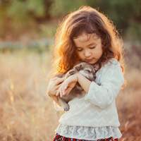 Đề thi học kì 1 lớp 4 môn Toán trường tiểu học Quảng Thọ, Quảng Bình năm 2016 - 2017