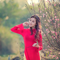 Đề thi học kì 1 môn Hóa học lớp 9 Phòng GD&ĐT Vĩnh Tường, Vĩnh Phúc năm học 2016 - 2017