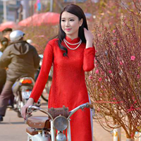 Đề thi học kì 1 môn Ngữ văn lớp 9 Phòng GD&ĐT Đông Anh, Hà Nội năm học 2016 - 2017