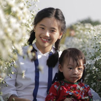 Đề thi học kì 1 lớp 4 môn Khoa học trường tiểu học An Lạc, Lục Yên năm 2016 - 2017