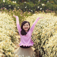 Đề thi học kì 1 lớp 4 môn Tiếng Việt trường tiểu học Lê Văn Tám, Đắk Lắk năm 2016 - 2017