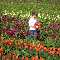 Đề thi học kỳ 1 môn tiếng Anh lớp 10 trường THPT Đa Phúc, Hà Nội năm học 2016 - 2017 có đáp án