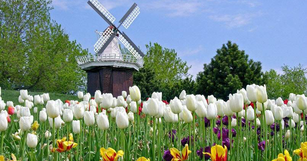 Đề thi học kỳ 1 môn tiếng Anh lớp 11 trường THPT Đa Phúc, Hà Nội năm học 2016 - 2017 có đáp án